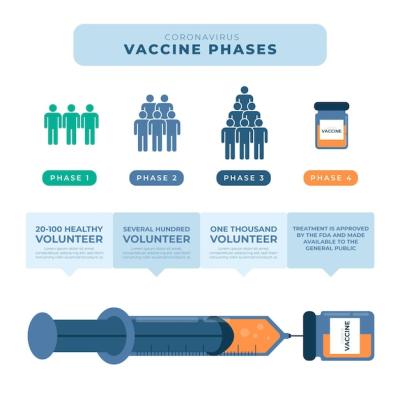 Coronavirus Vaccine Phases Infographic Template – Free Download