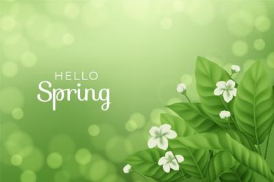 Realistic Spring Background with Flowers and Leaves – Free Download