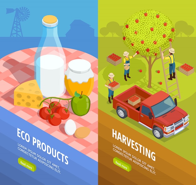 Vertical Isometric Farm Banner Set – Download Free Stock Photos