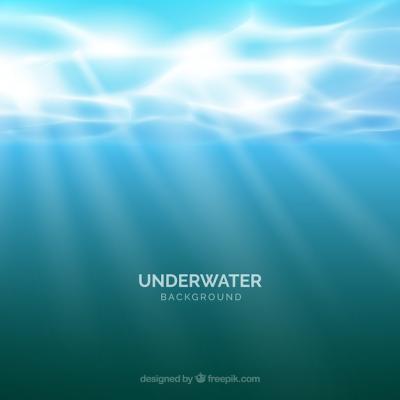 Realistic Underwater Background Vector Template – Free Download