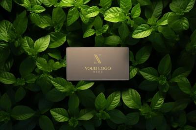 PSD Name Card Mockup for Premium Branding Excellence – Free Download