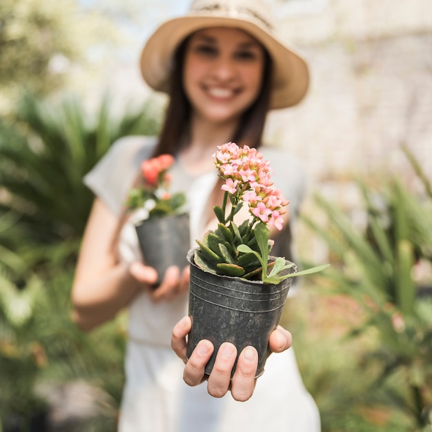 Close-up of a Female Hand Holding a Pink Flower Potted Plant – Free to Download