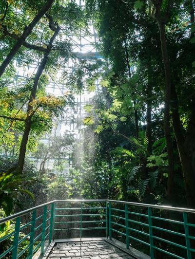 Stunning Waterfall Surrounded by Lush Green Flora – Free to Download