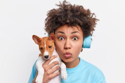 Shocked Afro American Female Dog Owner with Pedigree Puppy – Free Stock Photo for Download