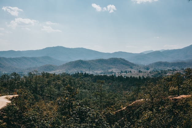 Street Scenes in Thailand: Nature and Culture – Free Stock Photo Download