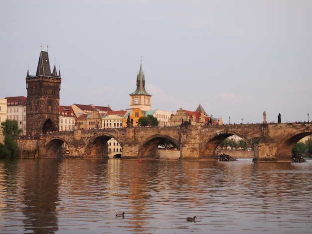 Low-Angle View of Charles Bridge and Ducks in Moldau River – Free Stock Photo, Download for Free