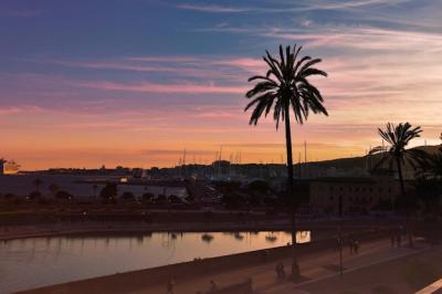 Stunning Silhouette of Palm Tree by River at Sunset – Free Stock Photo for Download