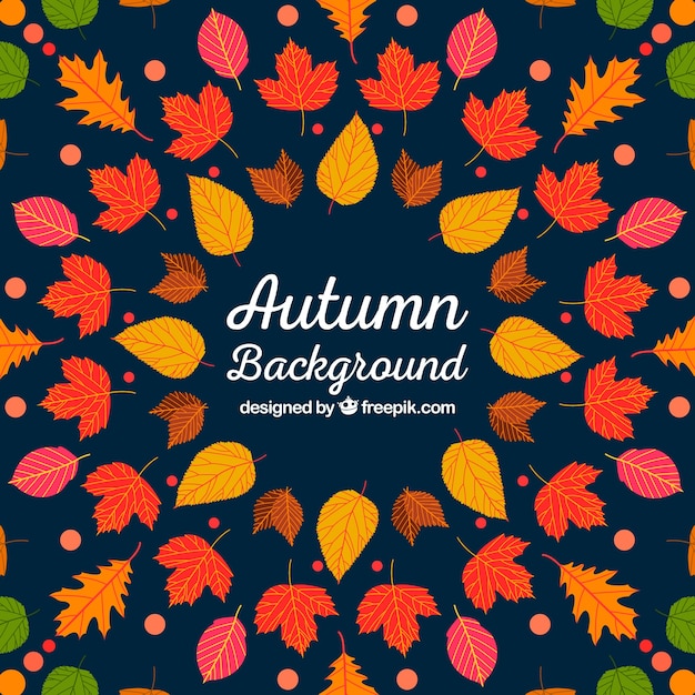 Vibrant Multicolor Autumn Background – Free to Download