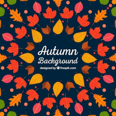 Vibrant Multicolor Autumn Background – Free to Download