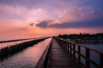 Wooden Beach Walkway in the Evening: A Nature Trail in Bangkok, Thailand – Free Stock Photo Download