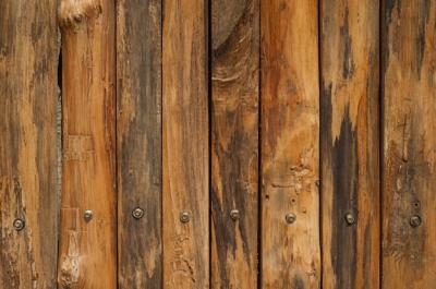 Wood Wall for Text and Background – Free Stock Photo, Download Free