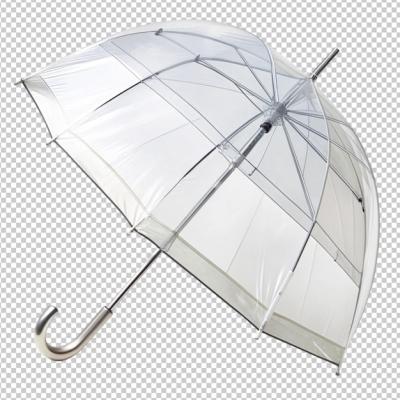 Clear Bubble Umbrella on Transparent Background – Free Download