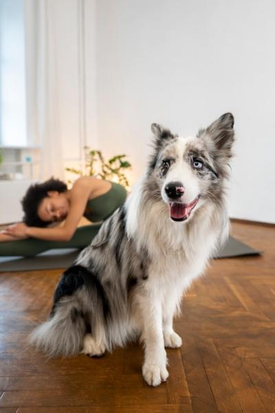 Person Doing Yoga with Pet – Free Download