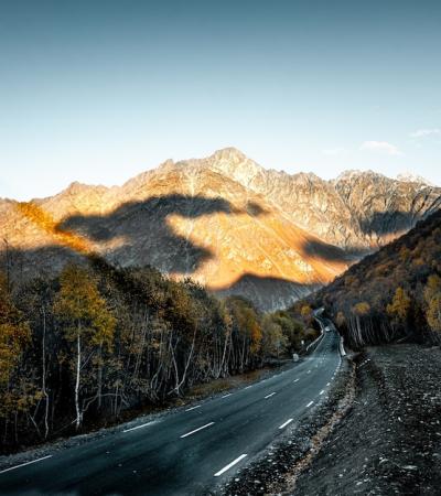 Stunning Road Surrounded by Lush Trees – Free Stock Photo for Download