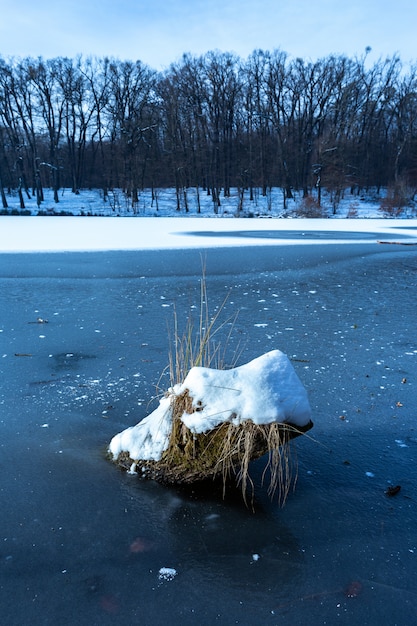 Snow-Covered Wood on a Frozen Lake in Maksimir, Zagreb, Croatia – Free Stock Photo, Download Free