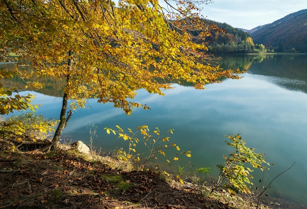 Beautiful Autumn Day in the Carpathian Mountains – Free Download