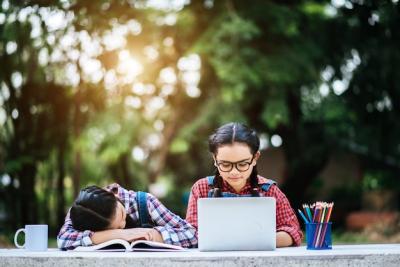 Two Students Studying Together Online in the Park – Free Stock Photo for Download