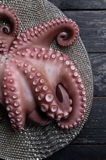 A Close Up of an Octopus on a Silver Platter – Free Stock Photo, Download Free Stock Photo