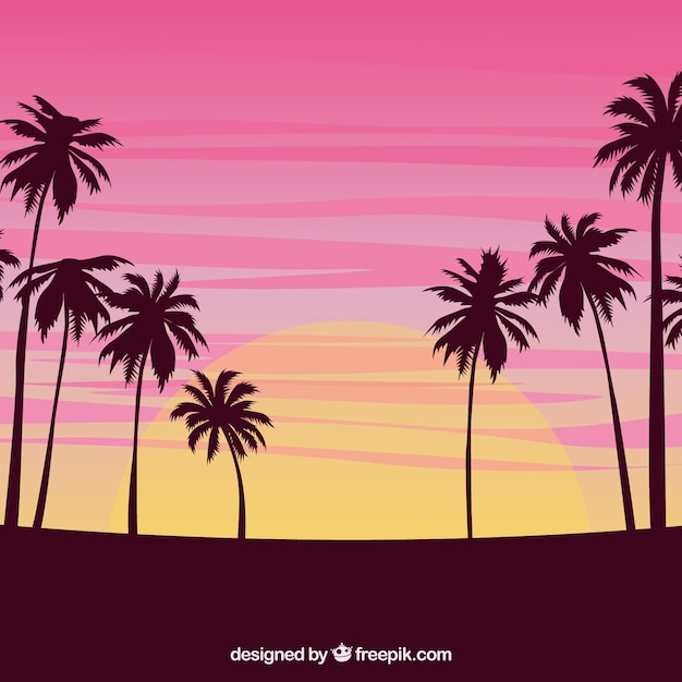 Sunset Background with Palm Trees – Free to Download