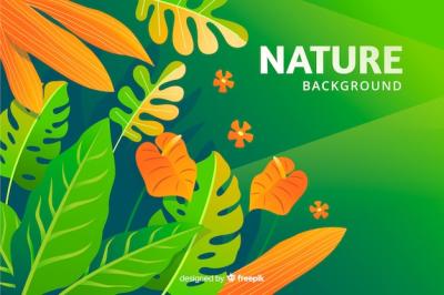 Stunning Nature Backgrounds – Free Download