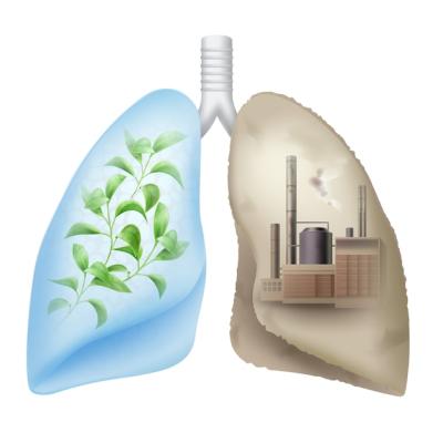 Vector Human Lungs Design Featuring Green Leaves and a Chemical Factory – Free Download