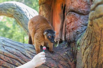 Close-up of Hand Holding Tree Trunk – Free to Download Stock Photo