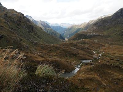 Stunning Landscape of Mount Aspiring National Park in New Zealand – Free to Download