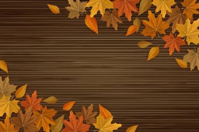 Realistic Fall Wood Background – Free Download