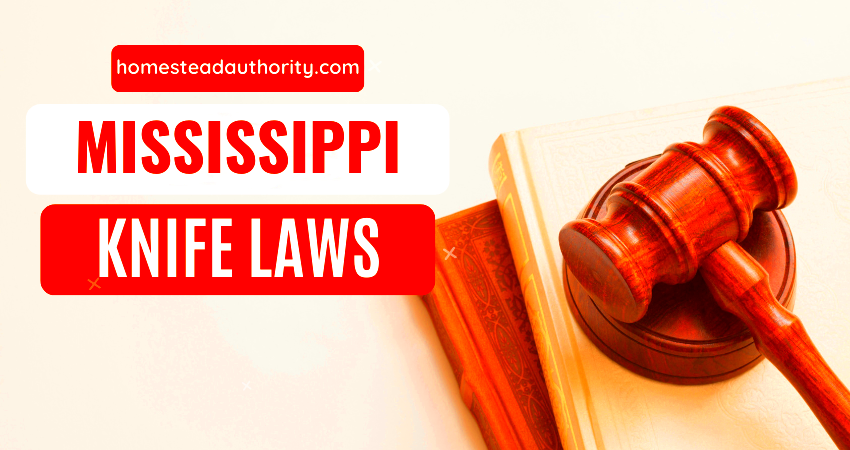 Navigating Mississippis Knife Laws What You Need to Know Homestead 