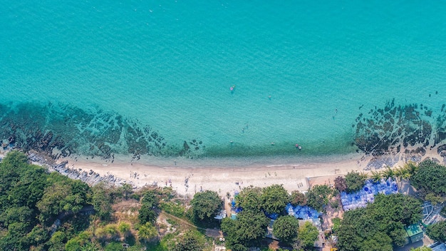 Aerial View of Sandy Beach with Tourists Swimming – Free Download