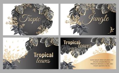 Template Cards Featuring Palm Trees and Lianas – Free Stock Photo, Download for Free