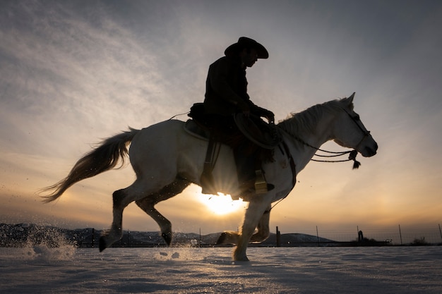 Cowboy Silhouette on Horse – Free to Download Stock Photo