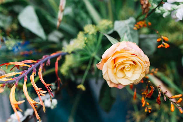 An Overhead View of a Rose Flower in a Bouquet – Free Stock Photo, Download for Free