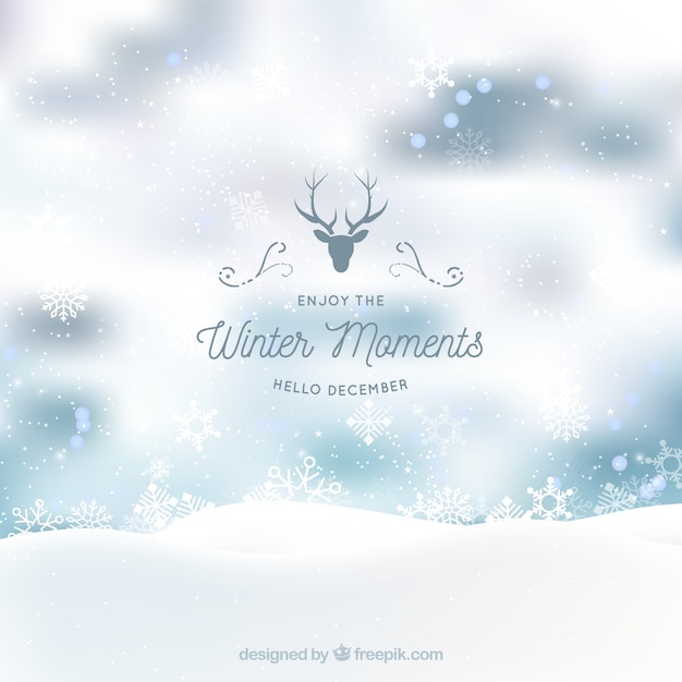 Blurred Winter Background – Free to Download Stock Photo