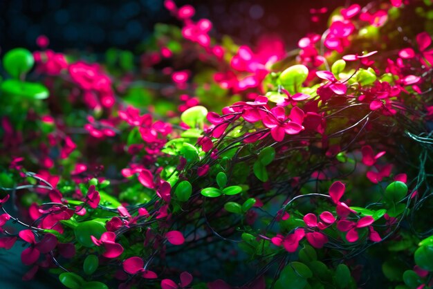 A Lively Energetic Background with Swirling Green Vines and Bursts of Hot Pink Flowers – Free Download