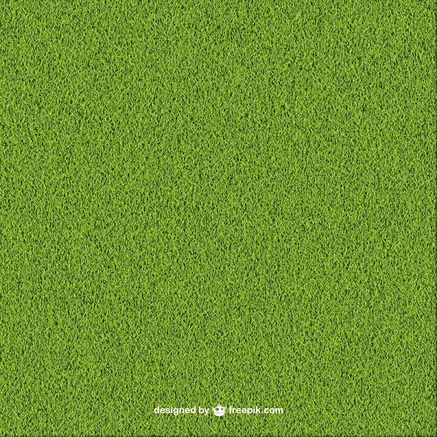 Green Grass Background – Free Stock Photo for Download