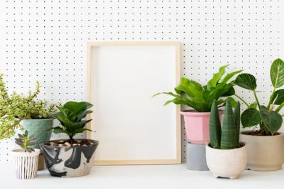 Home Decor Ideas Featuring a Blank Frame on a Plant Shelf – Free to Download