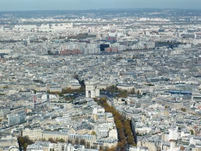 Aerial Shot of Paris Showcasing Modern High-Rise Buildings and Ancient Architecture – Free Stock Photo