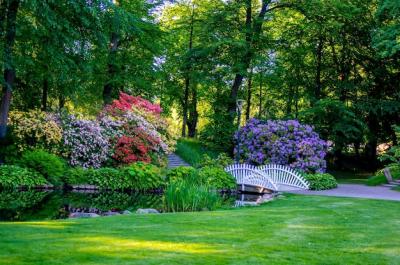 Pond Against Trees in the Park – Free Stock Photo, Download for Free