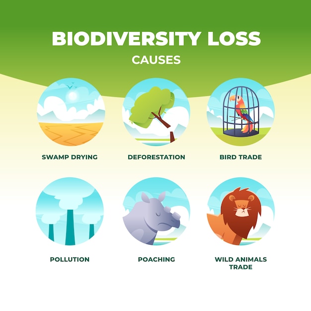 Gradient Biodiversity Loss Infographic – Free Download