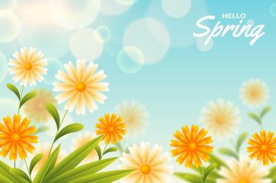 Gradient Spring Floral Background – Free Stock Photo for Download