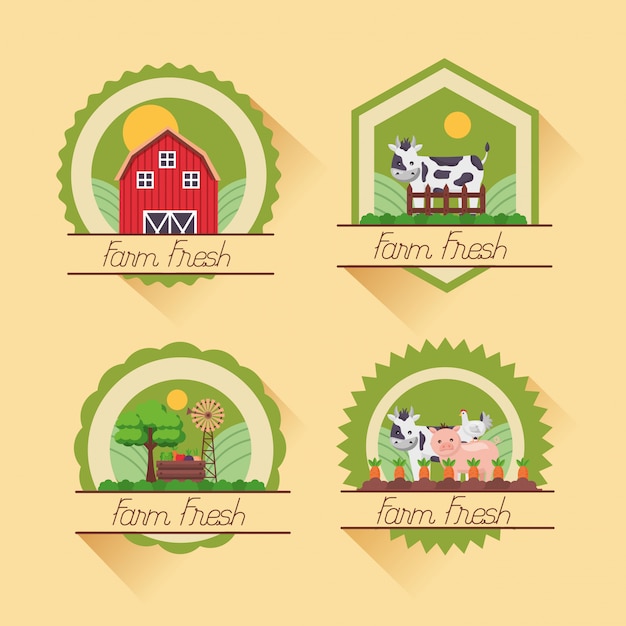 Farm Fresh Cartoon Vector Template – Free to Download