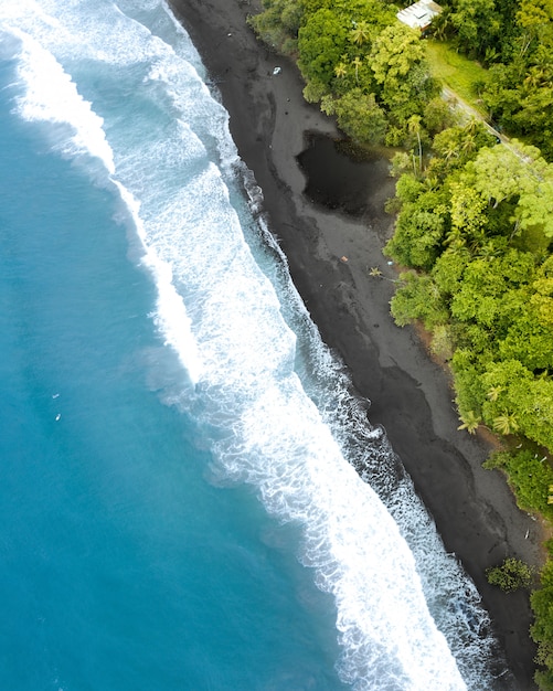 Aerial Shot of a Beautiful Coastal Landscape with Forest – Free Download