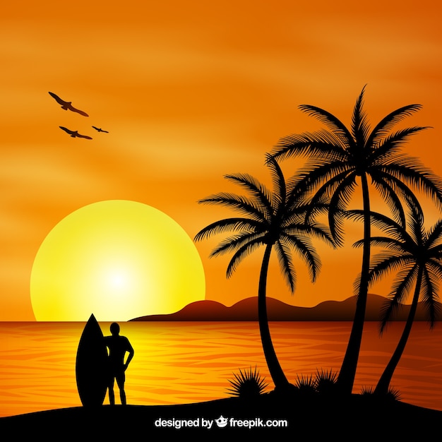 Summer Background Featuring Sunset and Palm Tree Silhouettes – Free Download