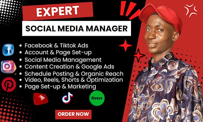 I Will Be Your Social Media Manager for IG Ads, Facebook Marketing, TikTok Posts & TikTok Shop