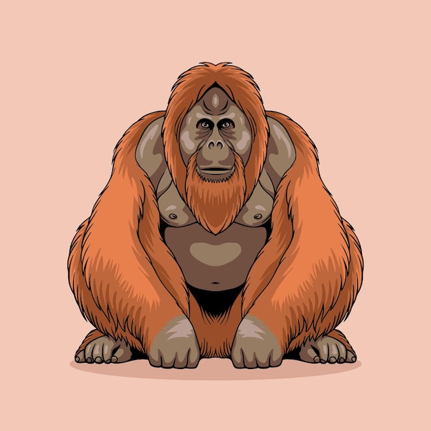 Orangutan Illustration: A Unique Animal Native to Indonesia – Free Download