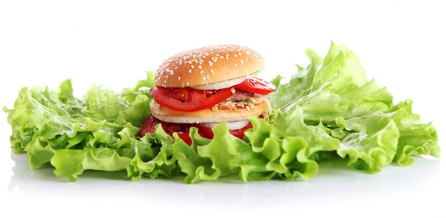 Big and Tasty Burger with Lettuce Leaves – Free Download