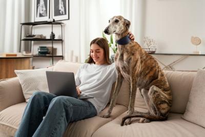 Smiley Woman with Greyhound Dog on Couch – Free Download