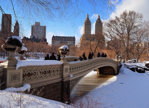 Manhattan Central Park Winter Panorama – Free Stock Photo for Download