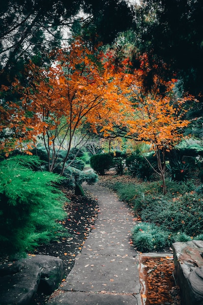 Stunning Views of Traditional Japanese Himeji Gardens in Adelaide – Free Stock Photo for Download